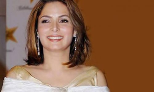 Babra Sharif Pics  Age  Photos  Biography  Pictures  Wikipedia - 39