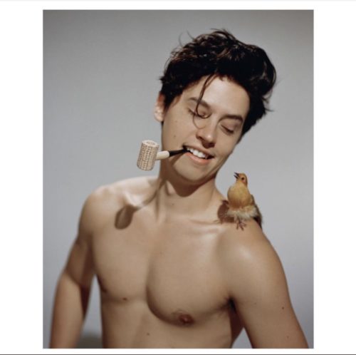 Cole Sprouse Shirtless  Biography  Wiki - 39