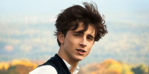 Timothee Chalamet  Pics  Age  Photos  Shirtless  Biography  Pictures  Wikipedia - 35