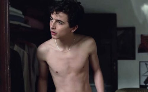 Timothee Chalamet  Pics  Age  Photos  Shirtless  Biography  Pictures  Wikipedia - 15