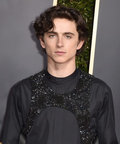 Timothee Chalamet  Pics  Age  Photos  Shirtless  Biography  Pictures  Wikipedia - 5