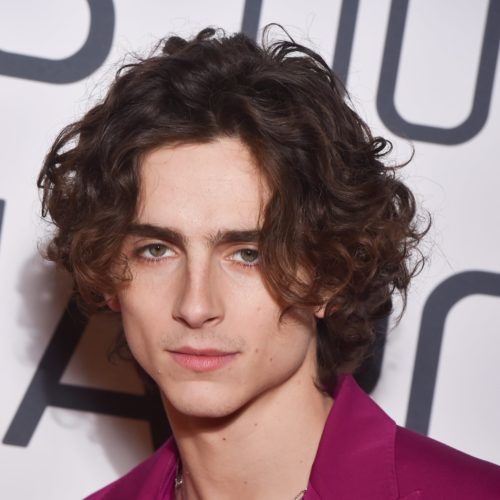 Timothee Chalamet  Pics  Age  Photos  Shirtless  Biography  Pictures  Wikipedia - 58