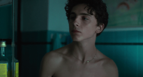 Timothee Chalamet  Pics  Age  Photos  Shirtless  Biography  Pictures  Wikipedia - 82