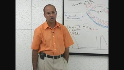 dr najeeb lectures on embryology videos