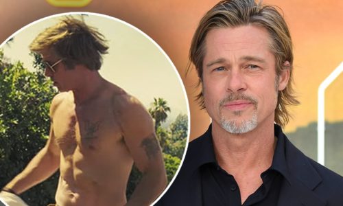 Brad Pitt Pics  Shirtless  Jennifer Aniston  Wedding  Wiki  Biography - 83