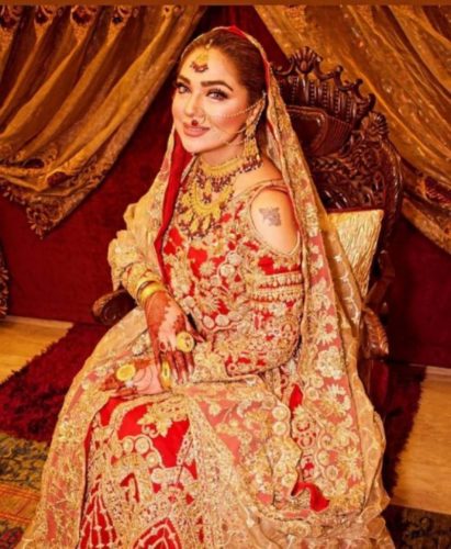 Natasha Ali Wedding Pics  Biography  Wiki - 77