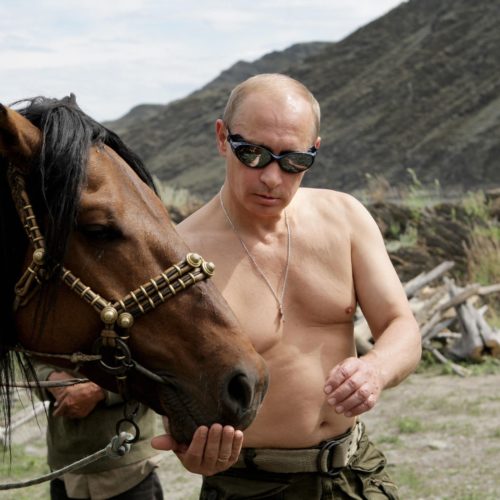 Vladimir Putin Pics  Shirtless  Biography  Wiki - 3