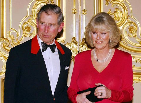 Prince Charles & Camilla Wedding Date, Pics, Anniversary, Marriage, Biography, Wiki - celebrity news | entertainment news