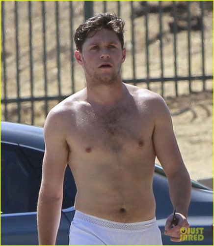 Niall Horan Pics  Shirtless  Biography  Wiki - 96