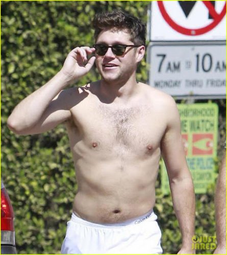 Niall Horan Pics  Shirtless  Biography  Wiki - 7