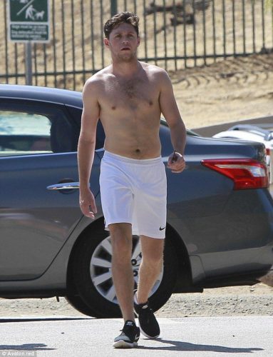 Niall Horan Pics  Shirtless  Biography  Wiki - 58