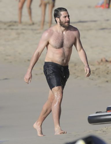 Jake Gyllenhaal Pics  Shirtless  Biography  Wiki - 63
