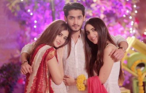 Sajal Ali Wedding Pictures  Brother  Wiki  Biography - 66