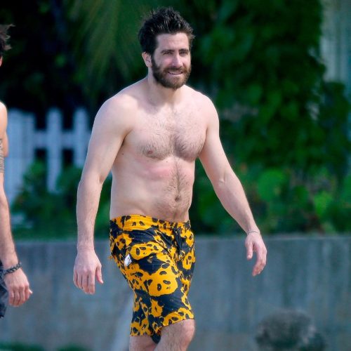 Jake Gyllenhaal Pics  Shirtless  Wiki  Biography - 69