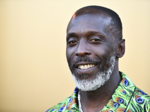 Who is Michael K Williams  Pics  Wiki  Shirtless  Biography - 87