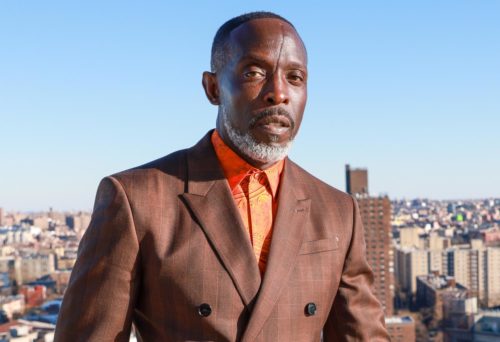 Who is Michael K Williams  Pics  Wiki  Shirtless  Biography - 16