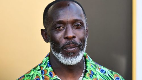 Who is Michael K Williams  Pics  Wiki  Shirtless  Biography - 35