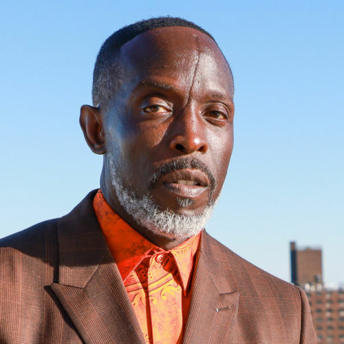 Who is Michael K Williams  Pics  Wiki  Shirtless  Biography - 22