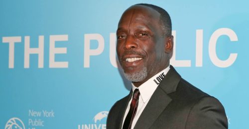 Who is Michael K Williams  Pics  Wiki  Shirtless  Biography - 78