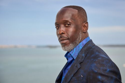 Who is Michael K Williams  Pics  Wiki  Shirtless  Biography - 64