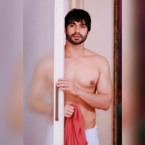 vijayendra kumeria shirtless 5