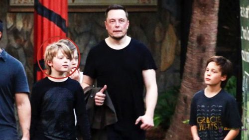 Xavier Musk Pics  Elon Musk Daughter  Son  Biography  Wiki - 95