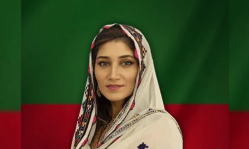 Shah Mehmood Qureshi News  Pics  Daughter  Biography  Wiki - 83
