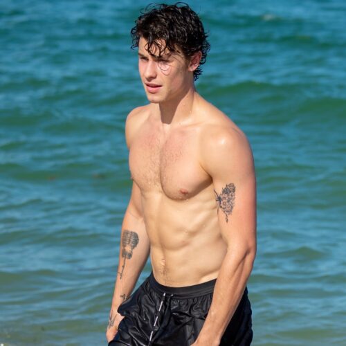 Shawn Mendes Pics  Age  Photos  Shirtless  Biography  Pictures  Wikipedia - 68