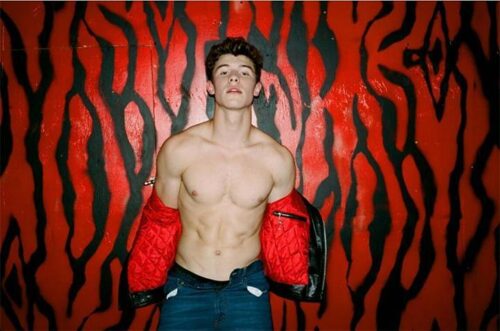 Shawn Mendes Pics  Age  Photos  Shirtless  Biography  Pictures  Wikipedia - 77