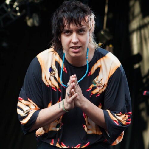 Julian Casablancas Pics  Age  Photos  Brother  Biography  Pictures  Wikipedia - 1