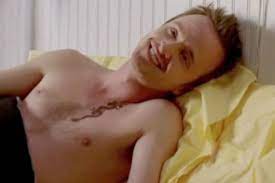 Aaron Paul Pics  Age  Photos  Shirtless  Biography  Pictures  Wikipedia - 71