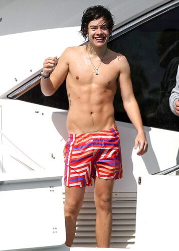 Harry Styles Pics  Age  Photos  Shirtless  Wikipedia  Pictures  Biography - 74