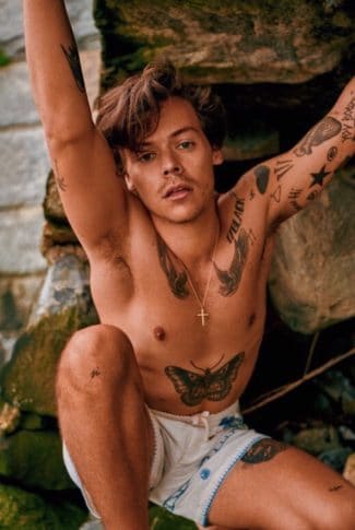Harry Styles Pics  Age  Photos  Shirtless  Wikipedia  Pictures  Biography - 73
