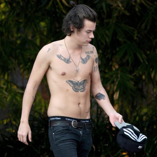 Harry Styles Pics  Age  Photos  Shirtless  Wikipedia  Pictures  Biography - 20