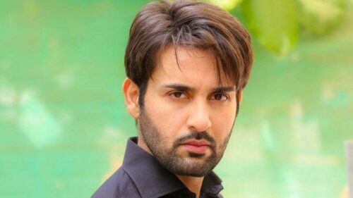 Affan Waheed Pics  Age  Photos  Biography  Pictures  Wikipedia - 11