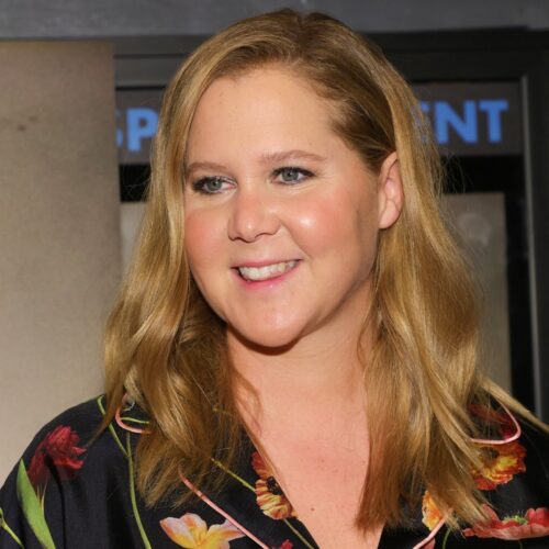 Amy Schumer Pics, Age, Photos, Husband, Son, Biography, Pictures ...